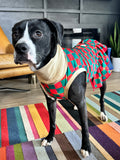 Under The Christmas Tree - Dog Pajama with Gold Neck & Trim/Sleeves