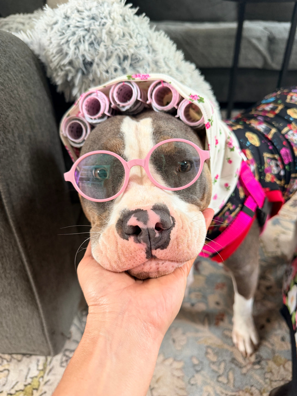 Nonna Dog Costume