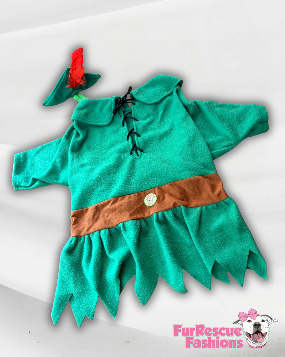 Peter Pan Dog Costume