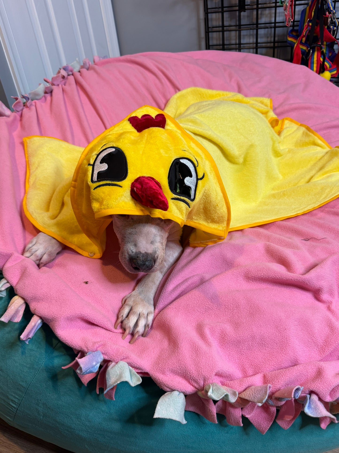 Tweety Chickie Snuggle Towel & Blanket