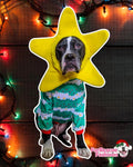 Christmas Star Dog Snood