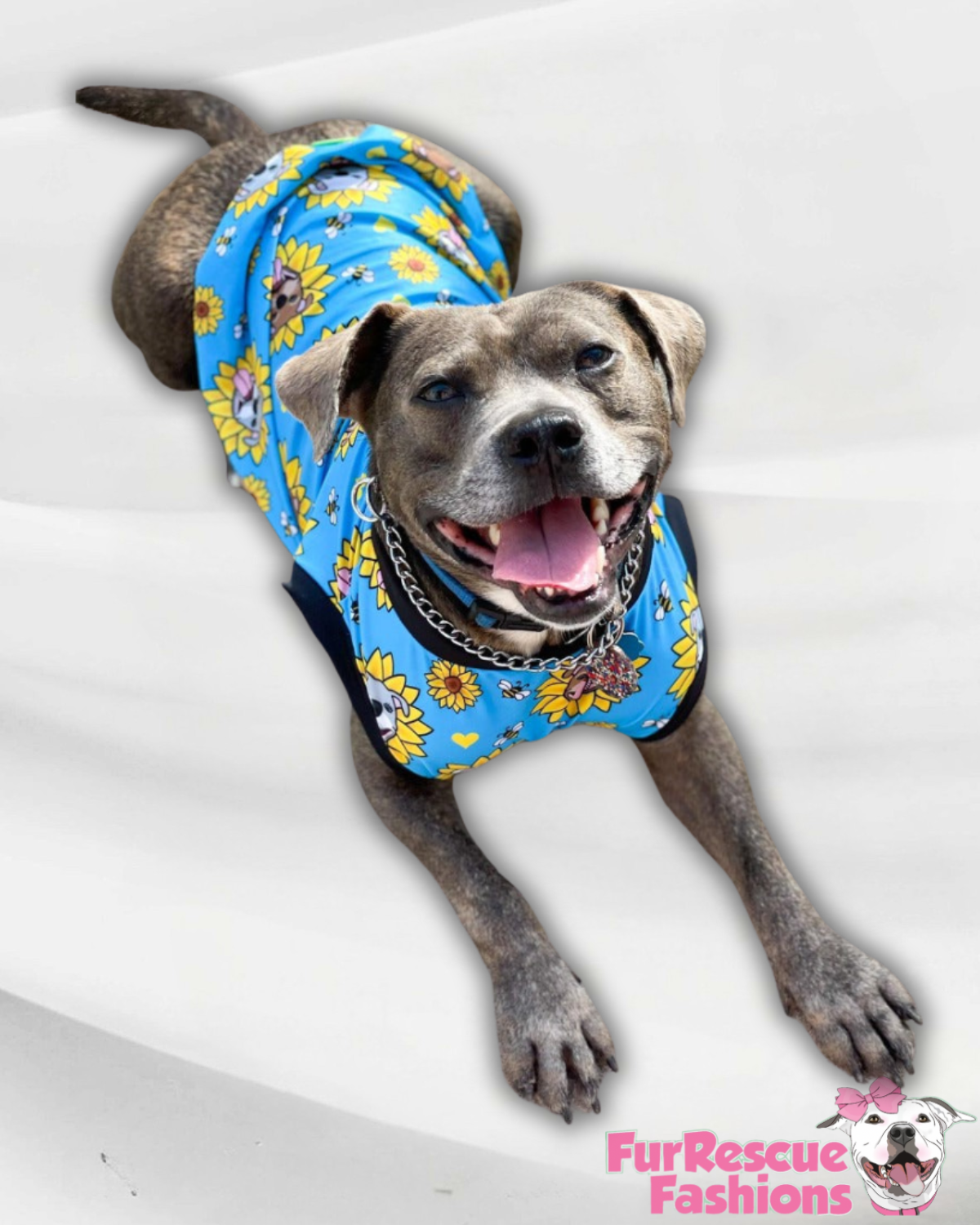 Sunflower Pitties Blue - Dog Pajama with Black Neck & Trim/Sleeves