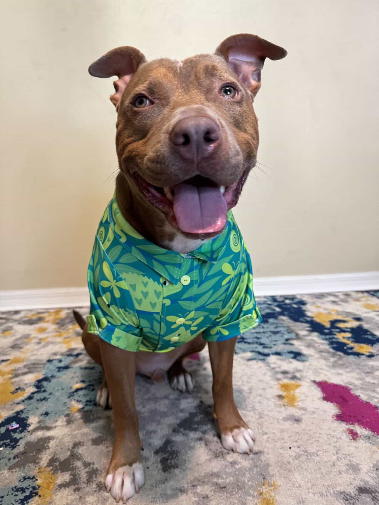 2026 Summer Hawaiian Faux Button Up Dog Shirt With Sleeves (Choose Your Pattern)