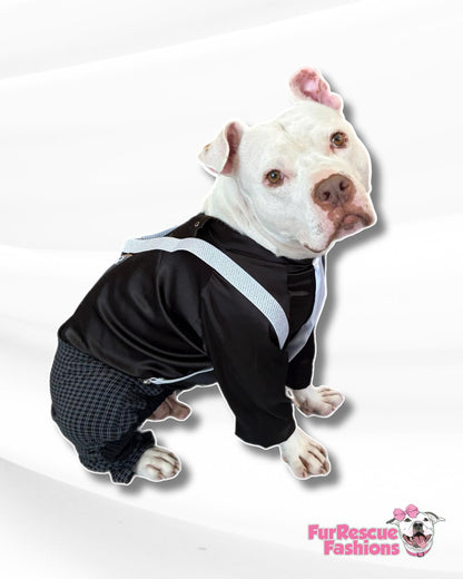 Clyde of the Canine Cartel (or Gatsby’s Gentlepup)