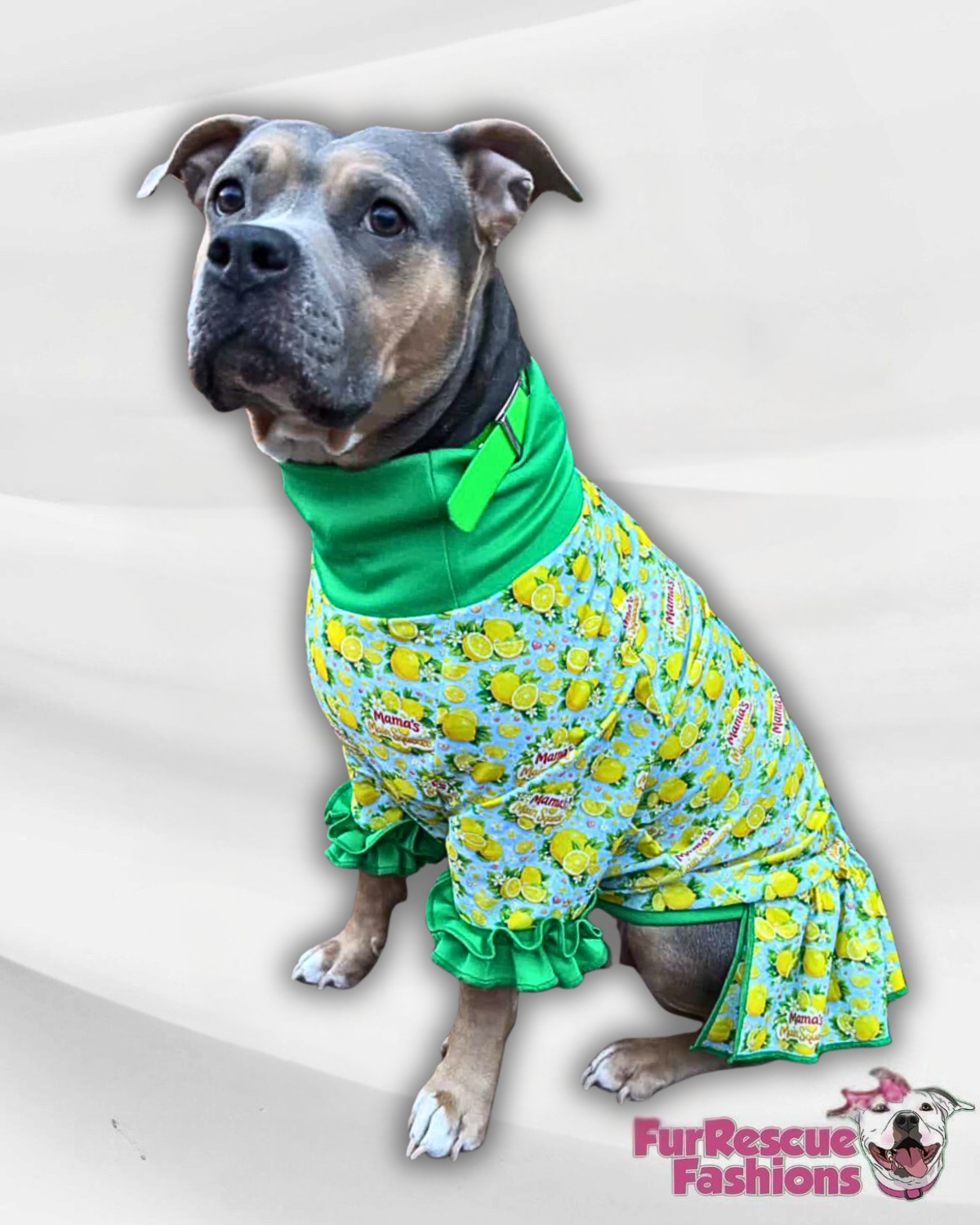 2026 Spring Dog Dress With Ruffle / With Sleeves or Sleeveless (Available in any pattern)