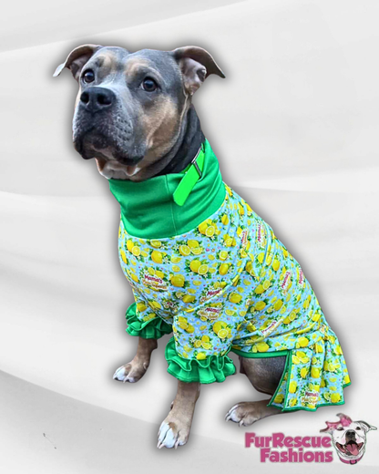 2026 Spring Dog Dress With Ruffle / With Sleeves or Sleeveless (Available in any pattern)