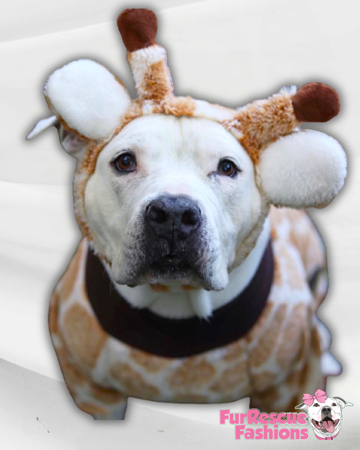 Luxury Fleece Giraffe Dog Outfit with Headband