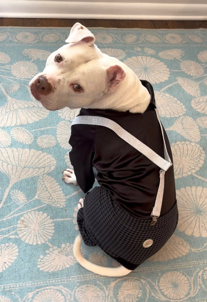 Clyde of the Canine Cartel (or Gatsby’s Gentlepup)