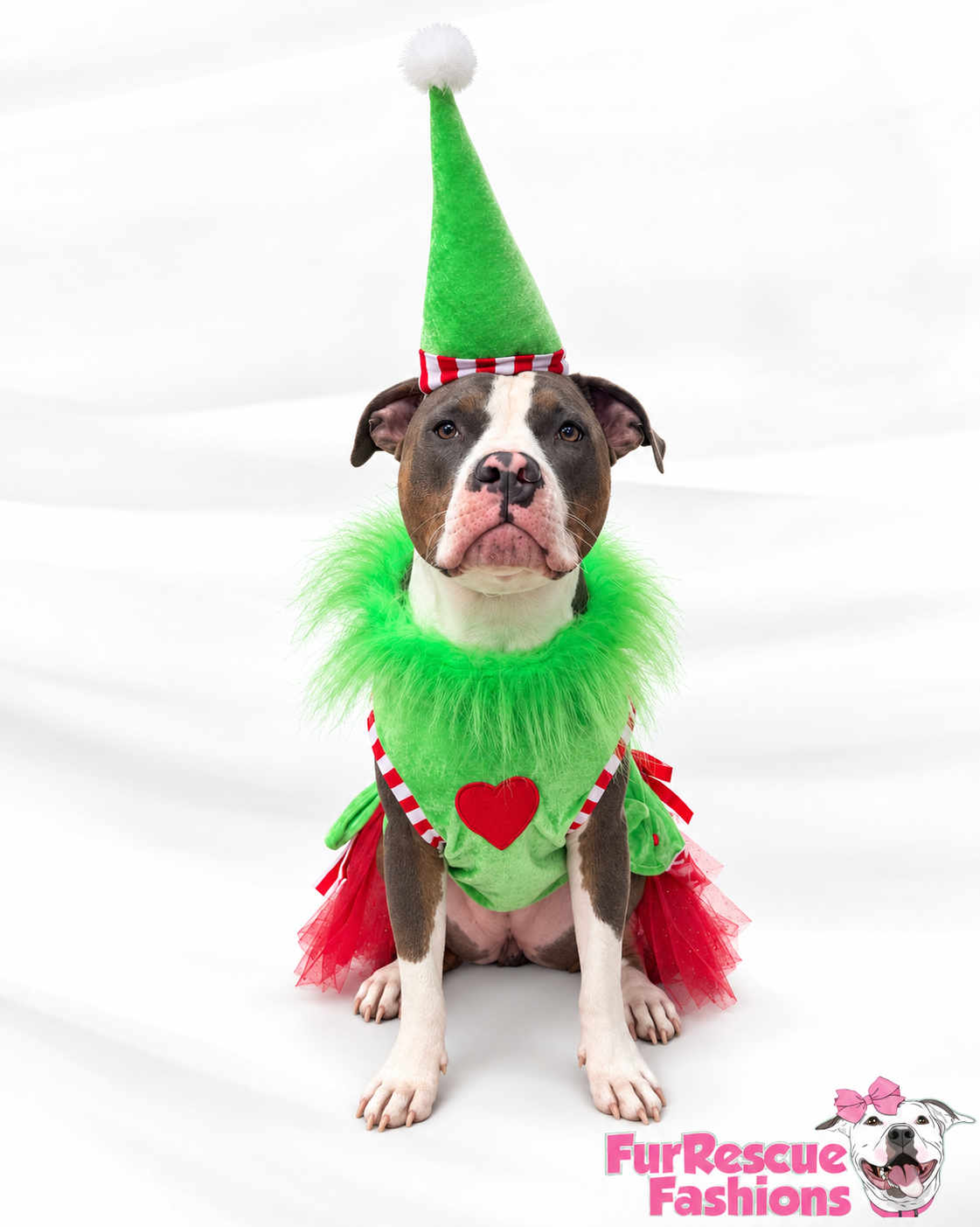 Merry Little Mischief Couture Christmas Dog Dress & Hat