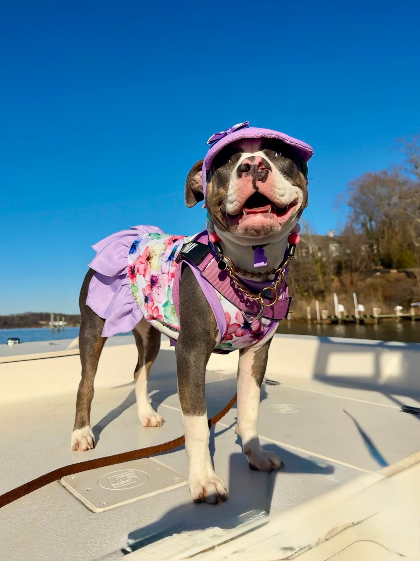 2026 Spring Dog Dress With Petal Skirt (Available in any pattern) (Copy)
