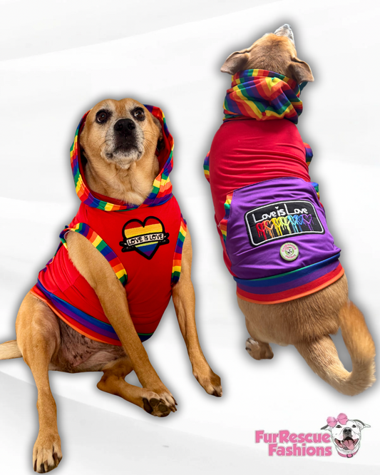 Love Is Love Dog Hoodie with Embroidery