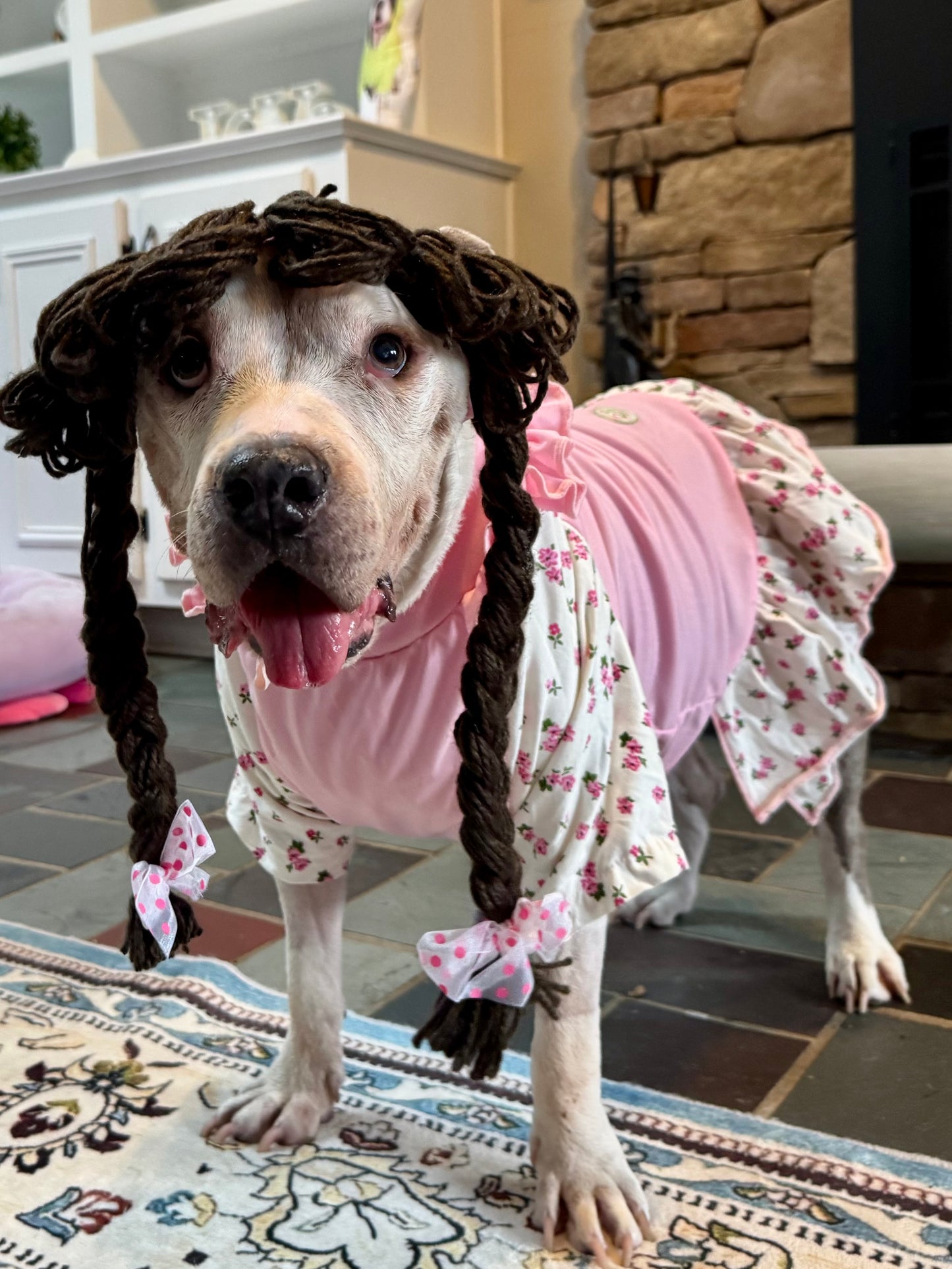 Raggedy Ruff Doll Dog Costume