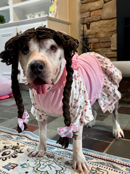 Raggedy Ruff Doll Dog Costume