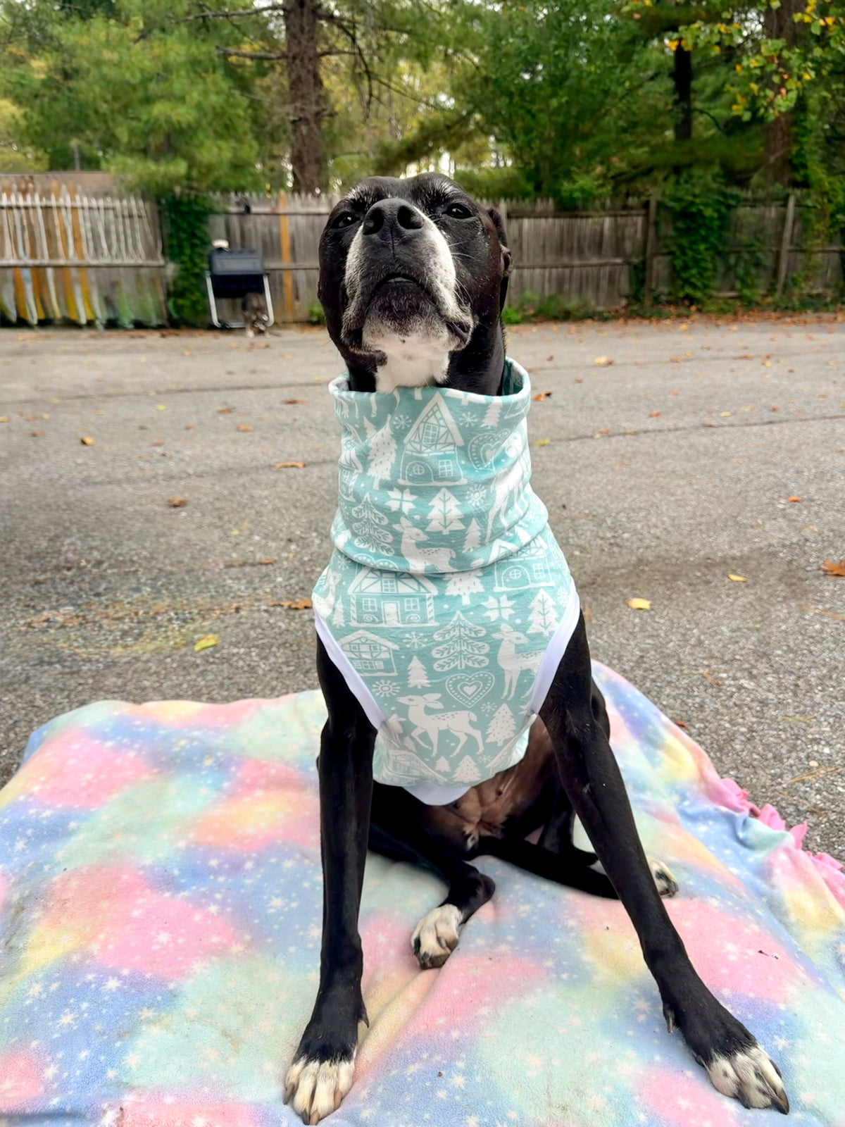 Deer winter wonderland   - Dog Pajama with White Neck & Trim/Sleeves