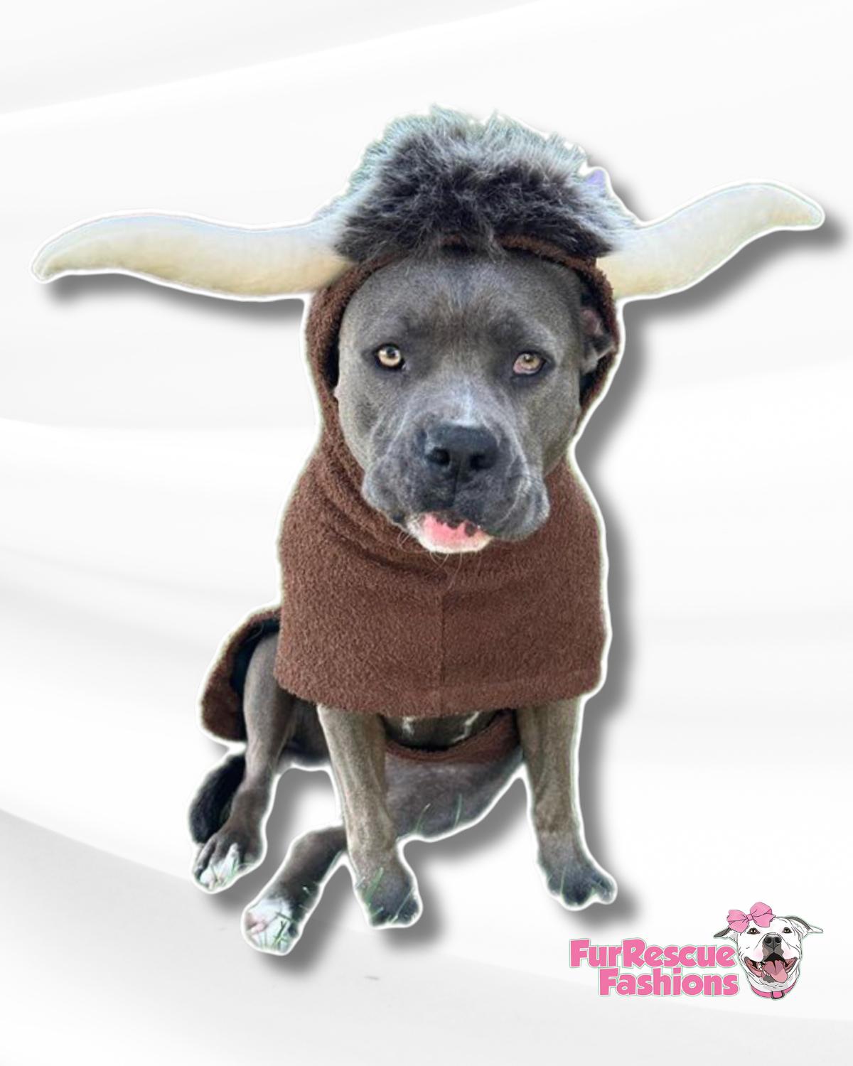 PAW-Robe Highland Cow – FurRescue Fashions