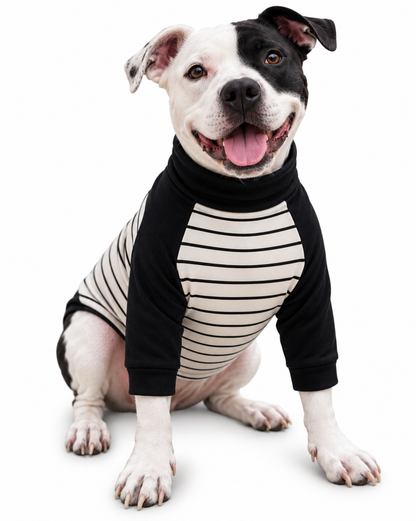 Classic Chic Stripes Dog Shirt(Classic Fabric)