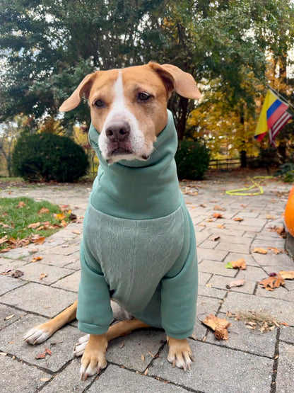 Sage Cozy Knit Dog Sweater – Soft Fleece & Cable Knit with Sleeveless or Raglan Options