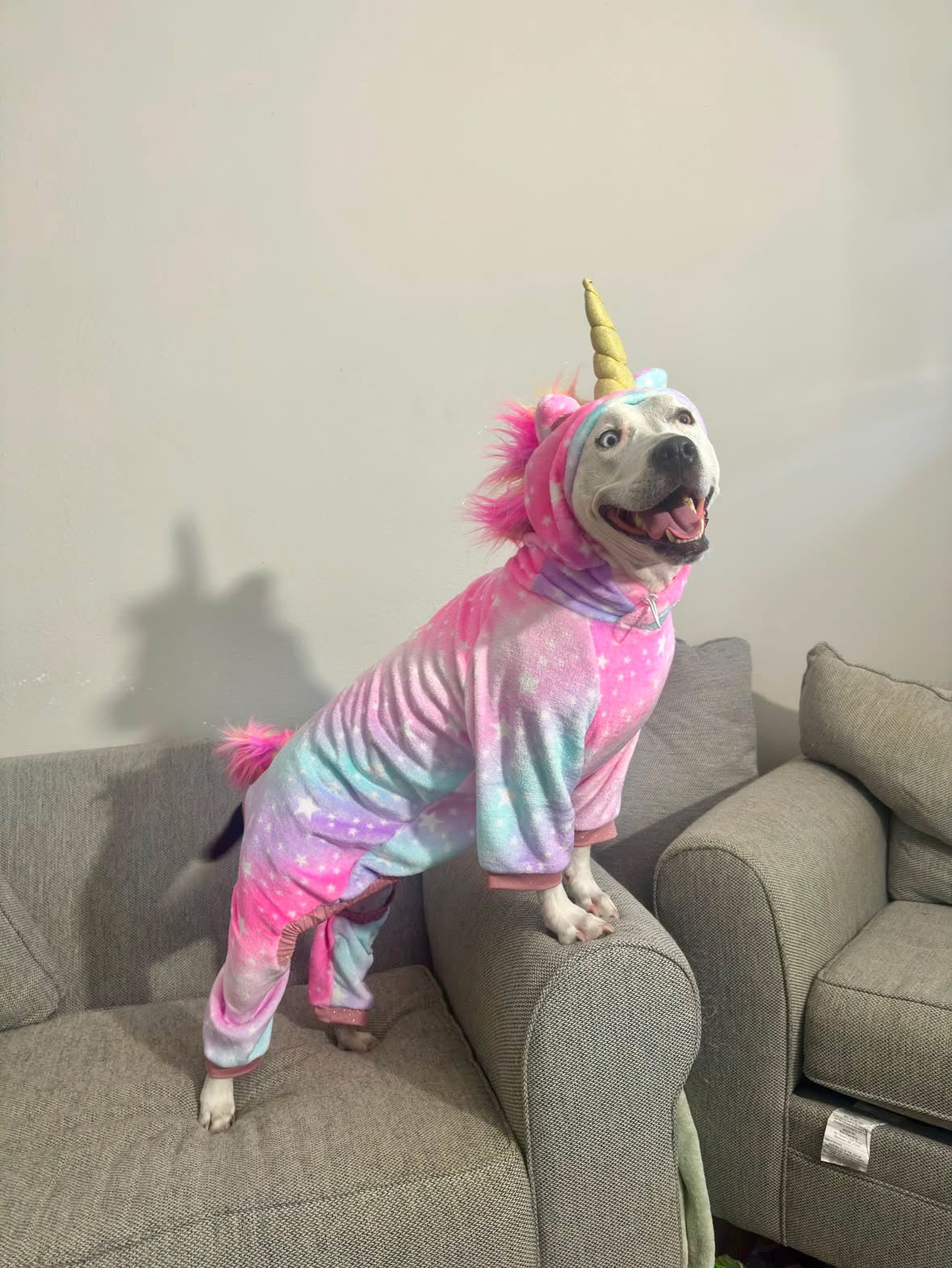 Luxury Fleece Unicorn Dog Costume