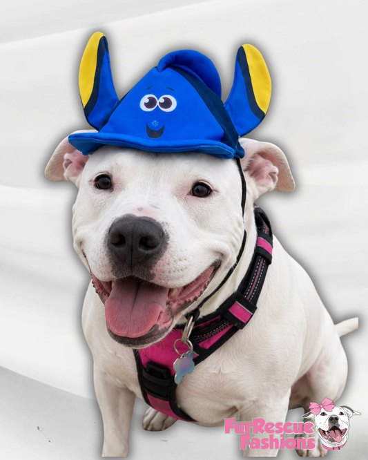 Just Keep Swimming Blue Tang Fish Dog Hat