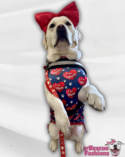I Love My Mom - Navy Blue - PAWJama with Red Trim & Neck