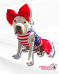 I Love America Dog Tutu Dress