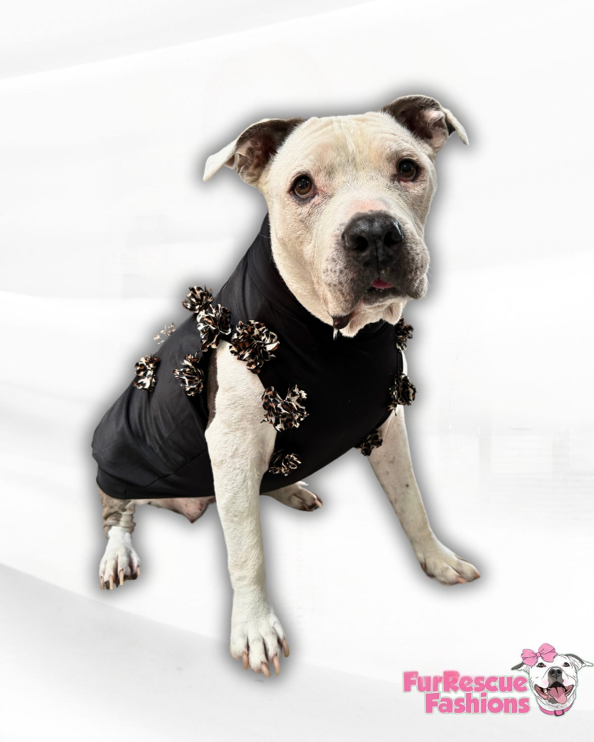 Never Ordinary Black UV50 Dog Shirt with Attached Handmade Animal Print Flowers