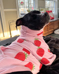 Berry Bliss Dog Pullover (Made to order)