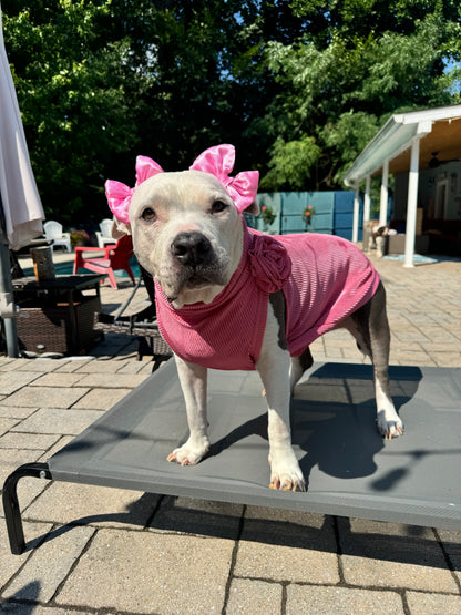 Pink Ribbed Classy Dog Shirt with Rose