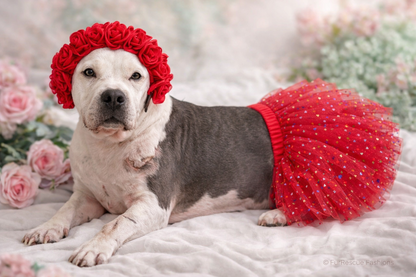 Sparkly Hearts Valentine Dog Tutu
