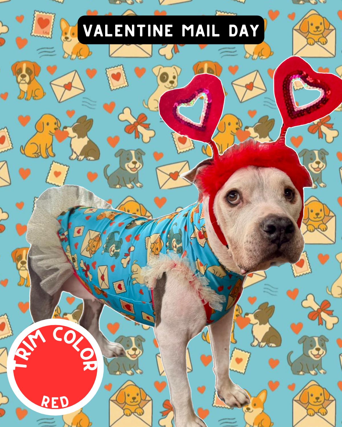 Valentine Mail Day Dog Pajama with Red Neck & Trim/Sleeves
