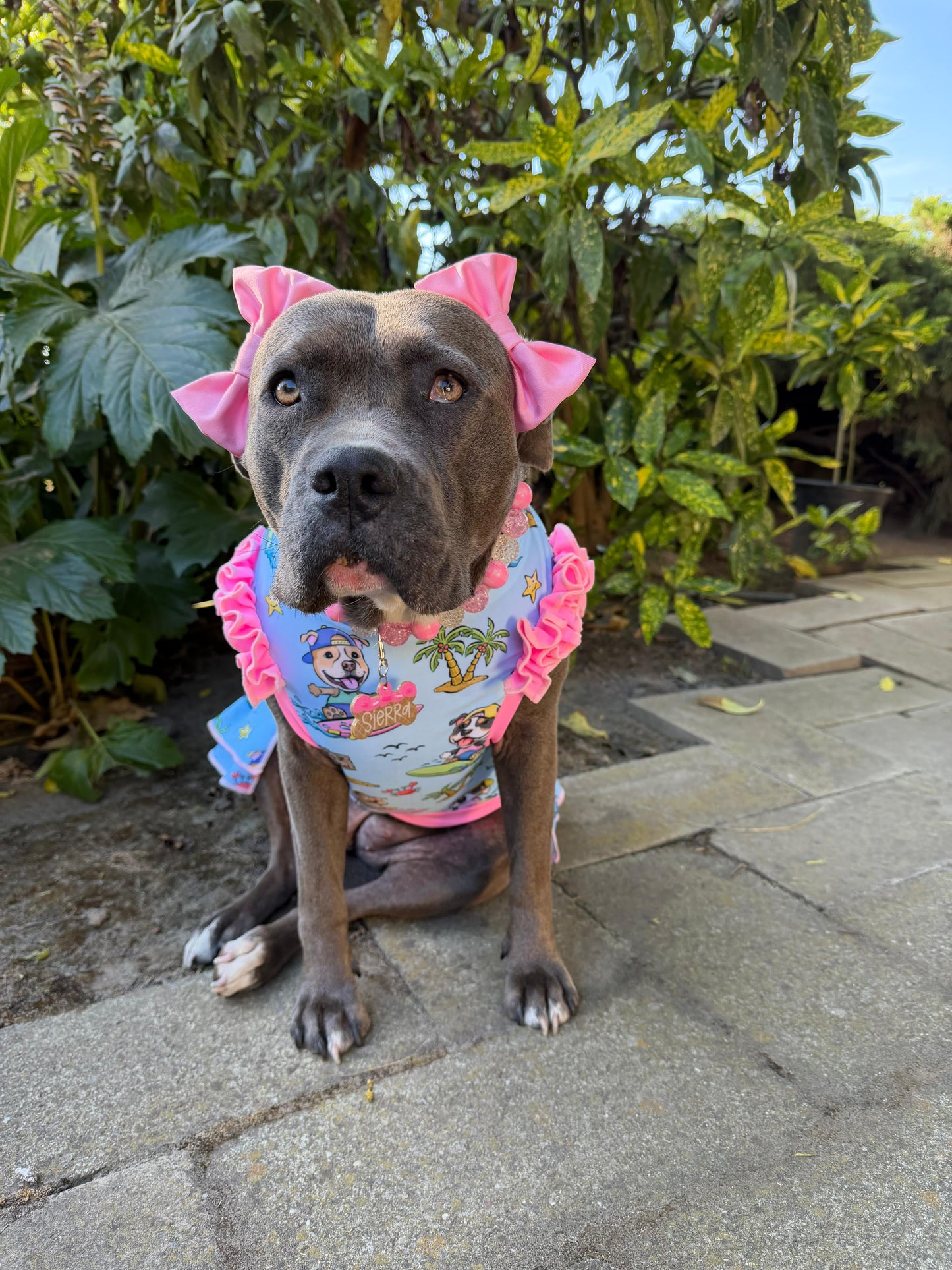 2026 Summer Dog Dress With Ruffle / With Sleeves or Sleeveless (Available in any pattern)