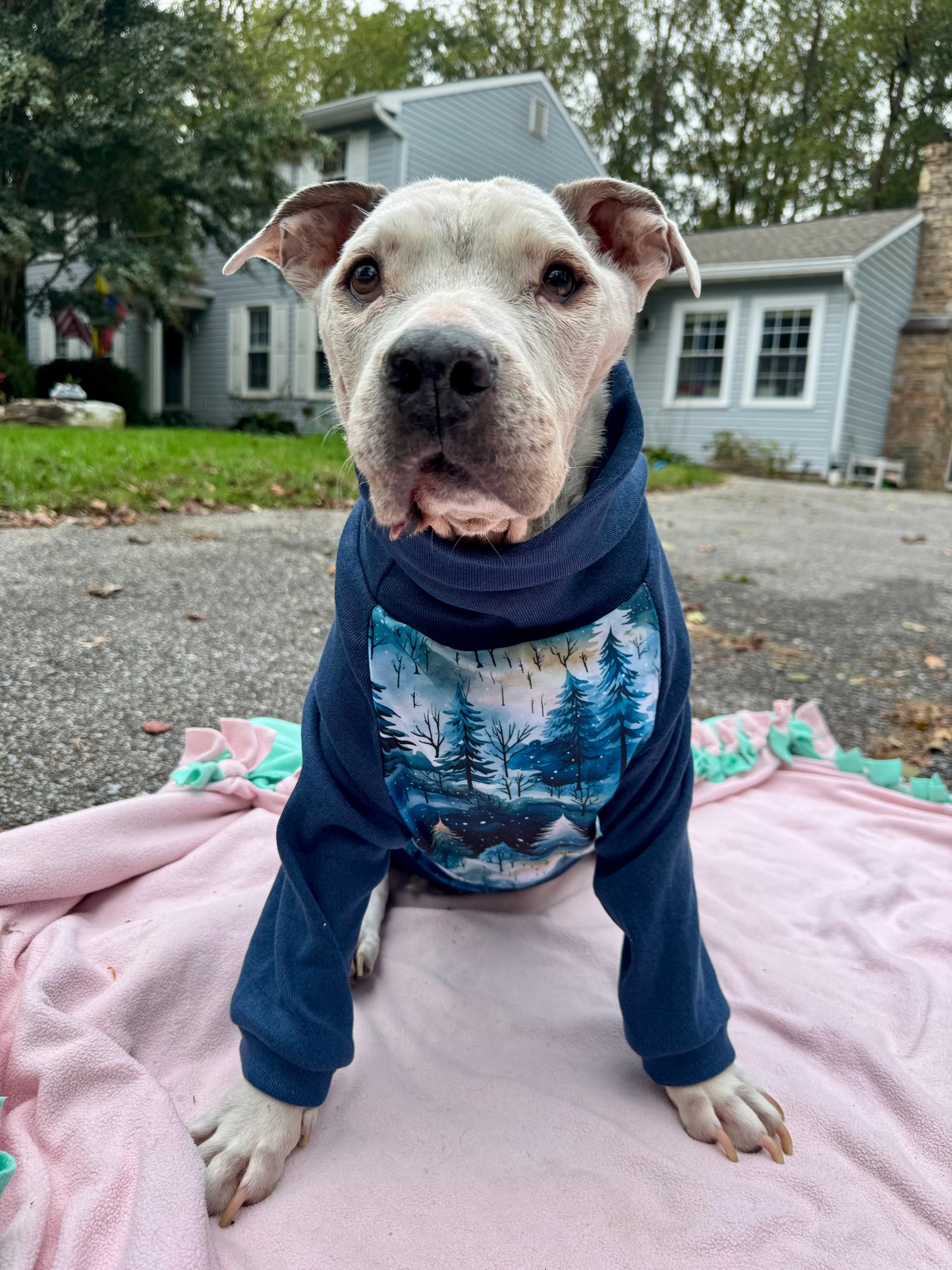 Classic Winter Vibes Dog Pajama with Navy Neck & Trim/Sleeves