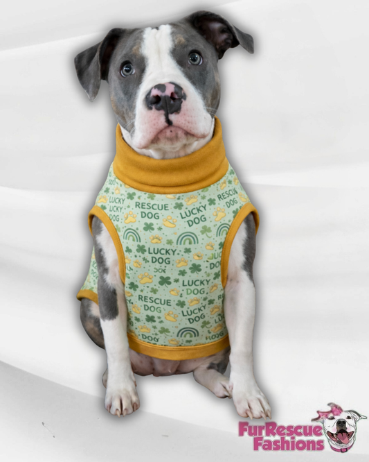Lucky Dog Dog Pajama with Gold Neck & Trim/Sleeves