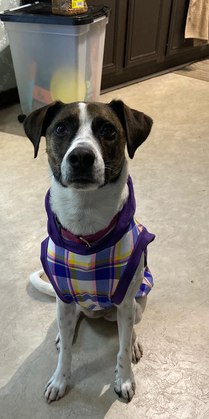 Purple Chic Plaid with Purple Neck & Trim/Sleeves (Classic Fabric)