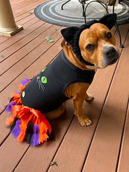 Midnight Kitty Dog Tutu Dress