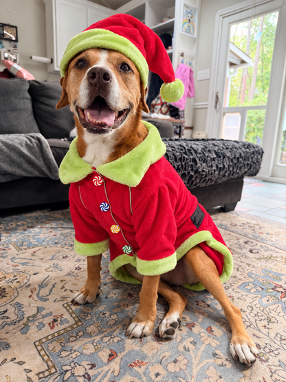 Whoville Holiday Cheer Dog Shirt & Hat ❤️💚