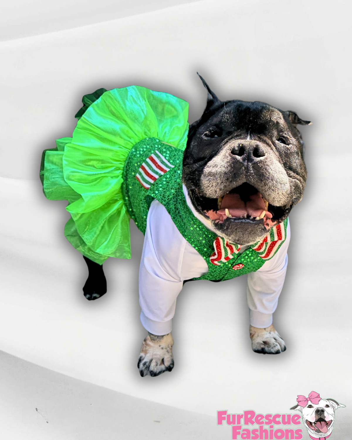 Christmas Candy Shop Sparkle Dog Tutu Dress