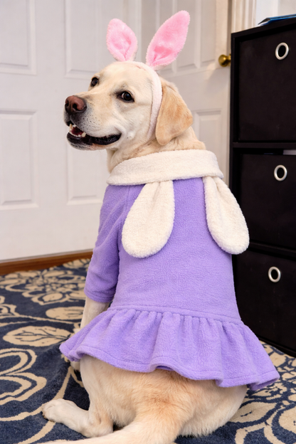 Easter Bunny Belle Dress