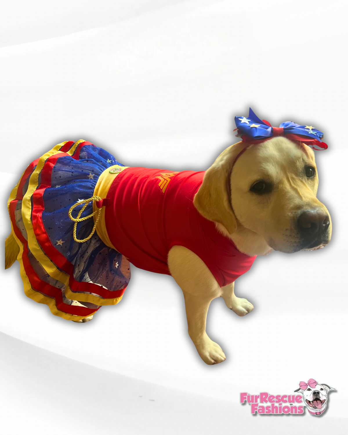 Wonder Woman Dress & Bow