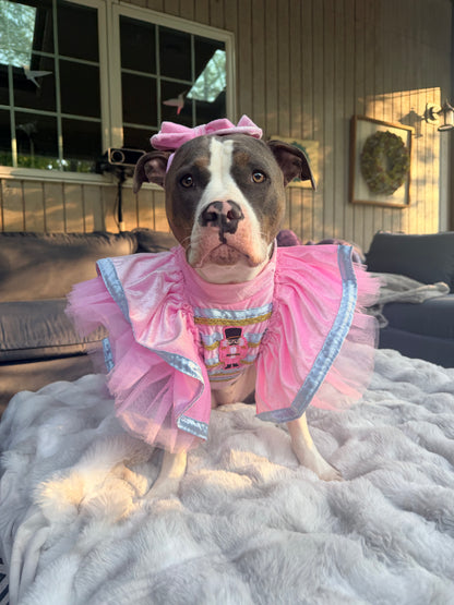 Sugar Plum Nutcracker Couture Christmas Dog Dress