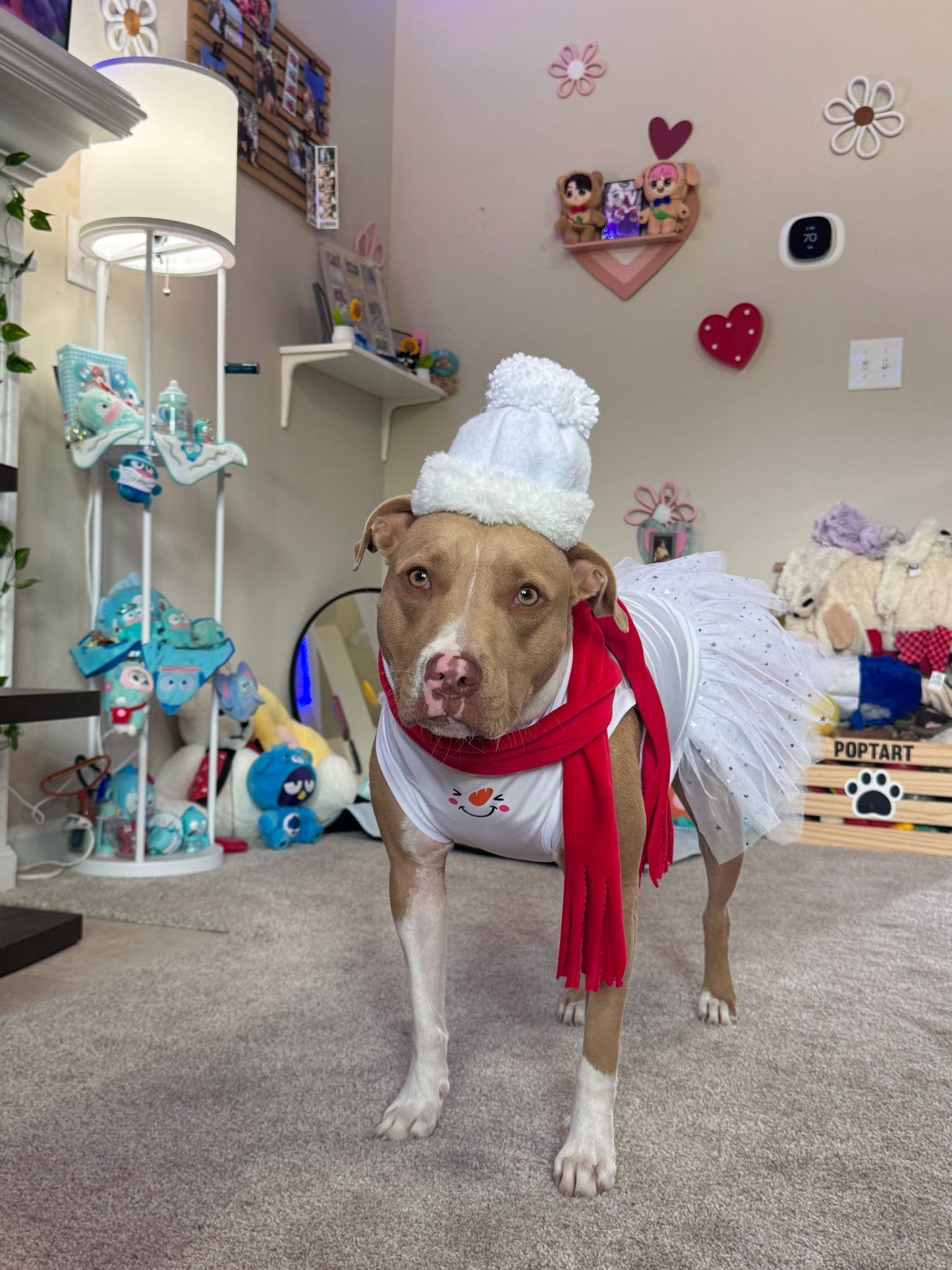 Frosty Kisses Sparkly Dog Tutu Dress