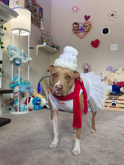Frosty Kisses Sparkly Dog Tutu Dress