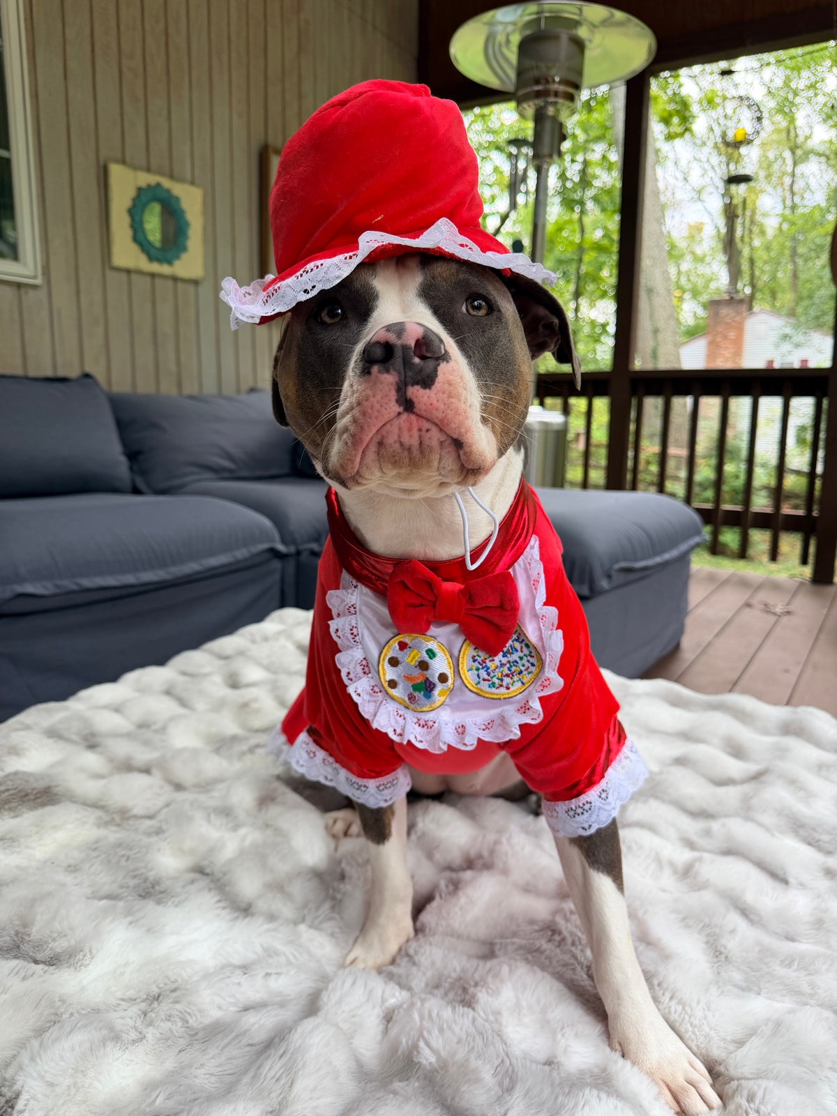 Santa’s Cookie Crew — Ultra-Luxe Dog Dress & Baker’s Hat