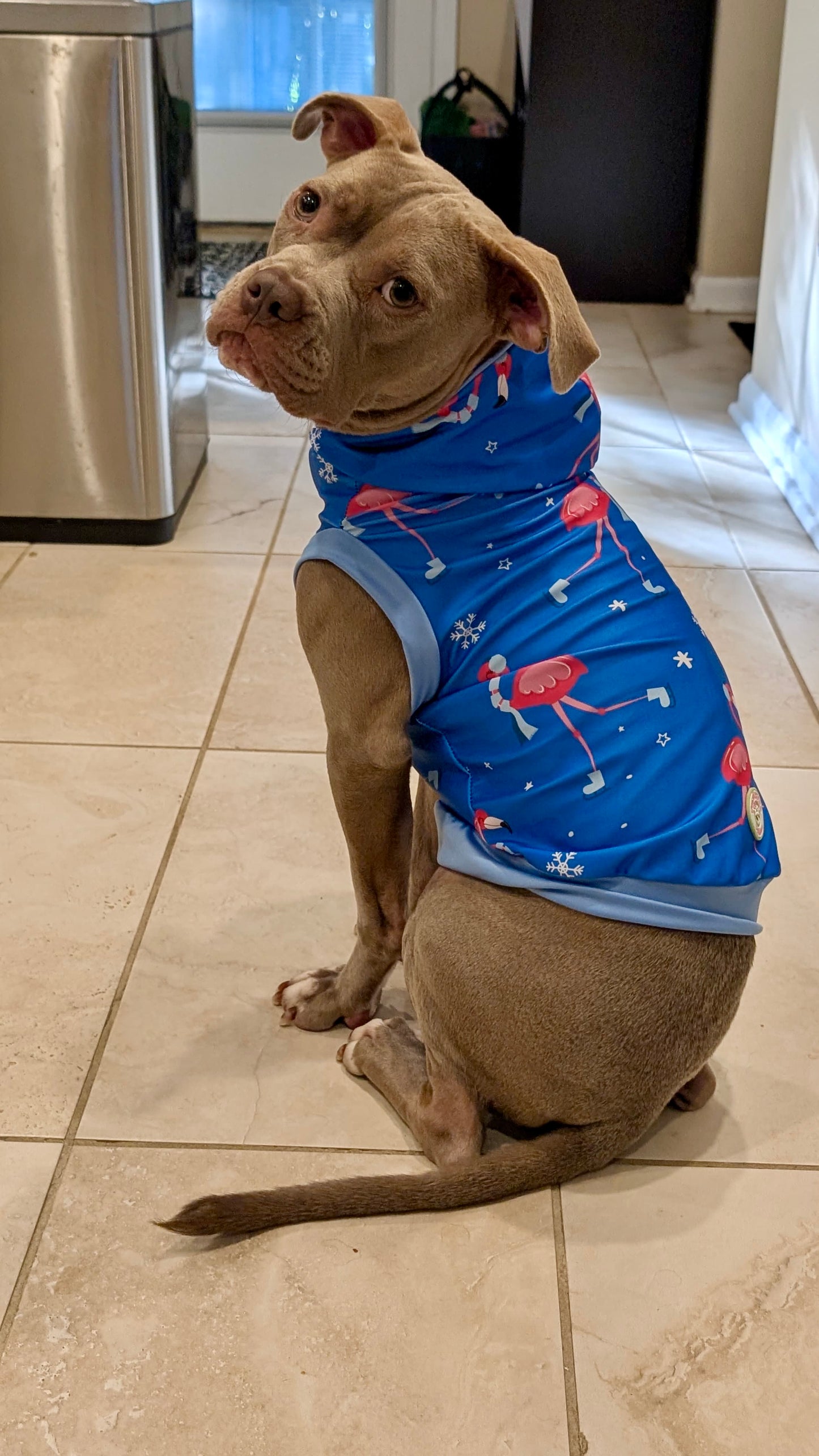 Winter Flamingos Dog Pajama with Light Blue Neck & Trim/Sleeves