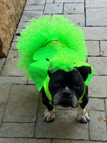 🧚 Enchanted Fairy 
Dog Dress With Headband (Available in 3 magical colors)