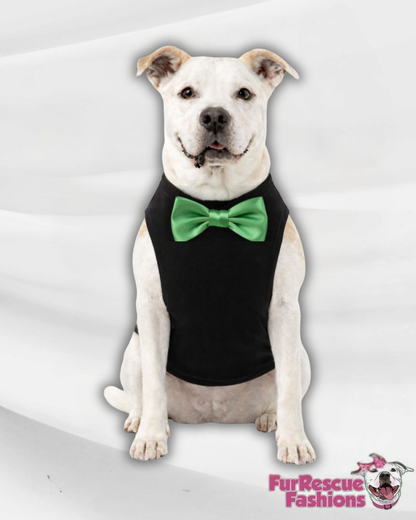 Lucky Charm Shamrock Dog Shirt