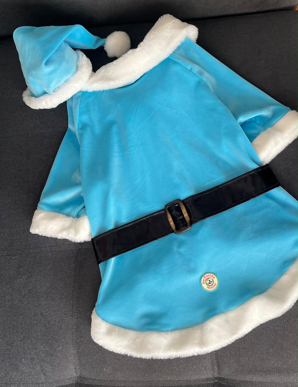 Winter Frost Santa Dog Coat