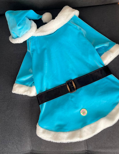 Winter Frost Santa Dog Coat