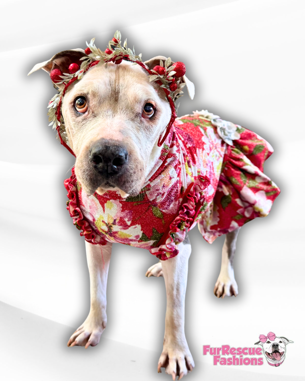 Holly Jolly Bloom Dog Dress