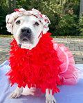 Special Gala Dog Tutu Dress